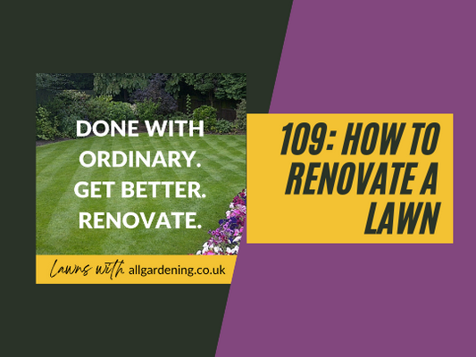 109: How to renovate a lawn