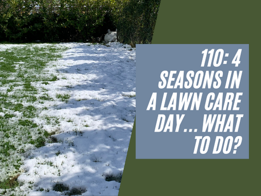 110: 4 seasons in a lawn care day.. what to do?