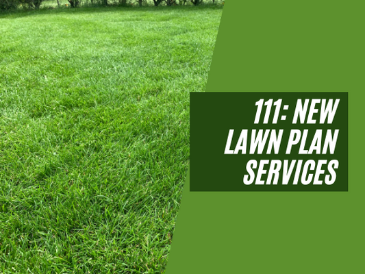 111: New Lawn Plan Services