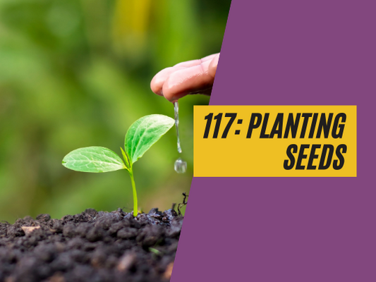 117: Planting seeds