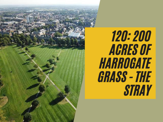 120: 200 acres of Harrogate Grass - The Stray