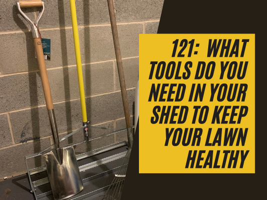 121: What tools do you need in your shed to keep your lawn healthy