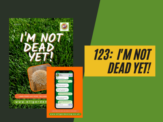 123: I'm Not Dead Yet!