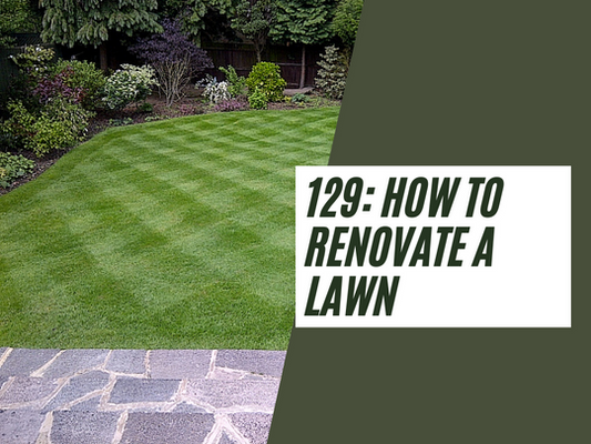 129: How to renovate a lawn in 10 easy steps and some of the costs