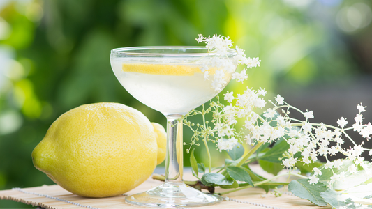 Refreshing Summer Sips: The Best Plants to Grow for Flavourful Homemade Drinks