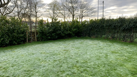 203: Frost on the 3rd April! What the...