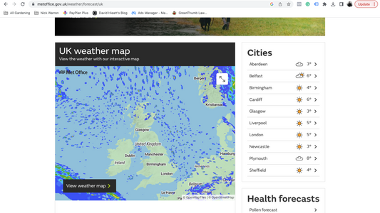 216: Whether to whether the weather