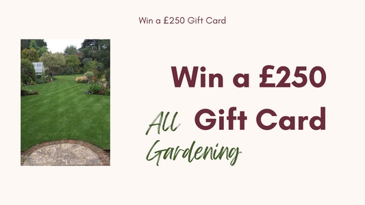 228: Helping business grow, WIN £250 Gift Card