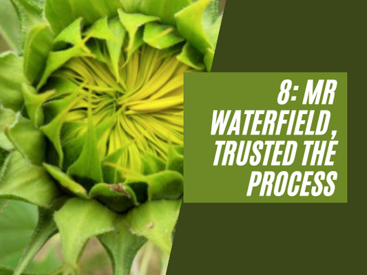 8: Mr Waterfield, trusted the process