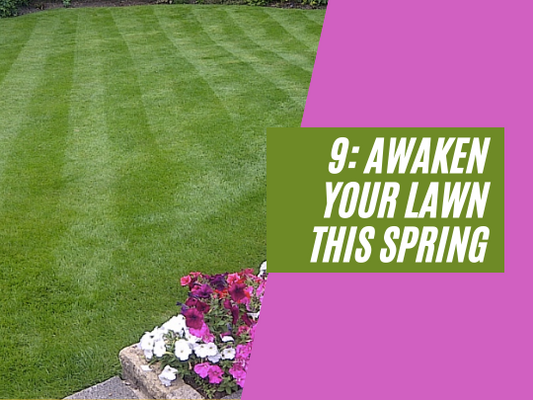 9: Awaken your lawn this spring