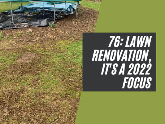 77: Lawn renovation, it's the focus for 2022