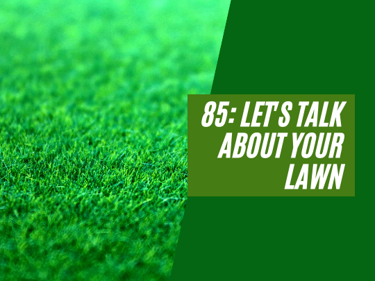 85: Let's talk about your lawn
