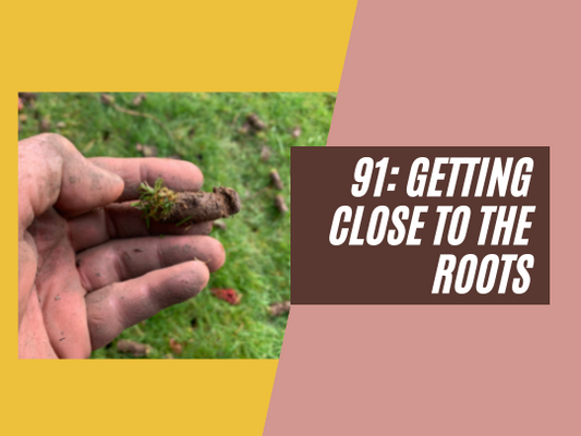 91: Getting close to the roots