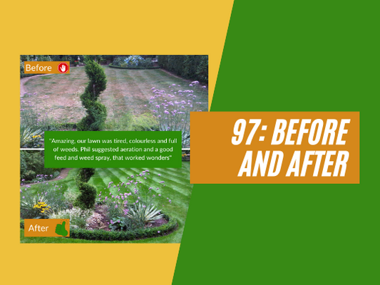 97: Lawn before and after